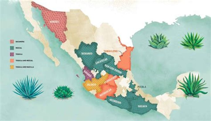Discovering Mezcalero DTLA: A Culinary Journey into Authentic Mexican Spirits