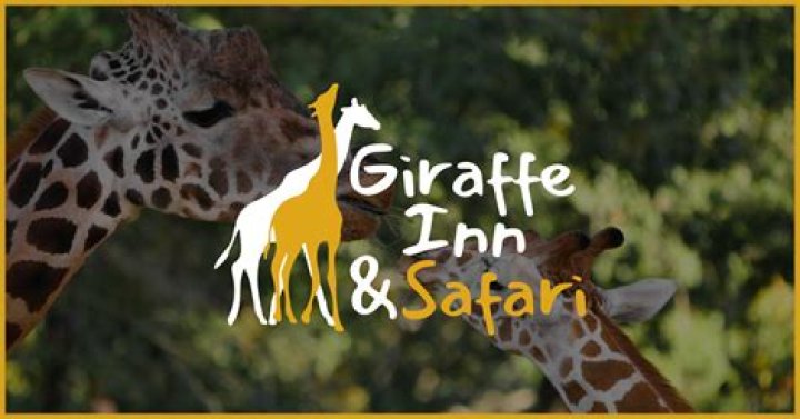 Discovering the Unique Giraffe Hotel in Texas: A One-of-a-Kind Experience