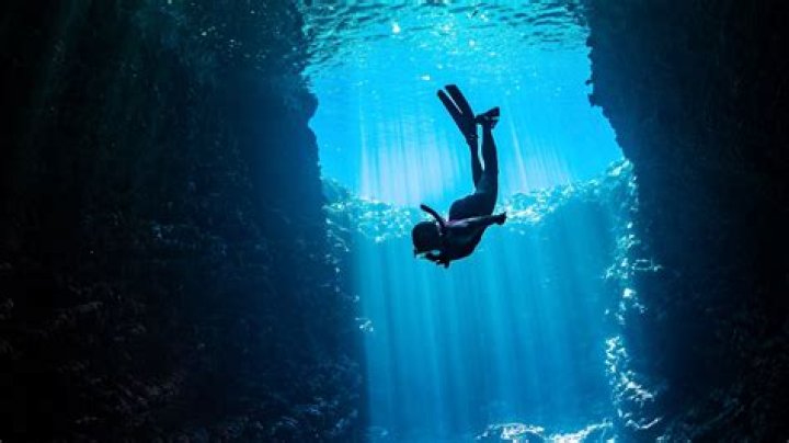 Exploring the Enigmatic "Fotos Nidoa de Aguilas": A Deep Dive into Nature's Marvels