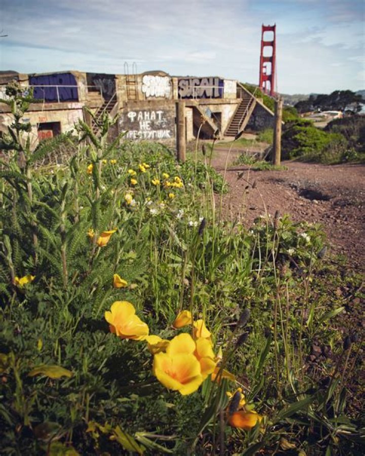 Exploring the Golden Gate Tap: A Comprehensive Guide