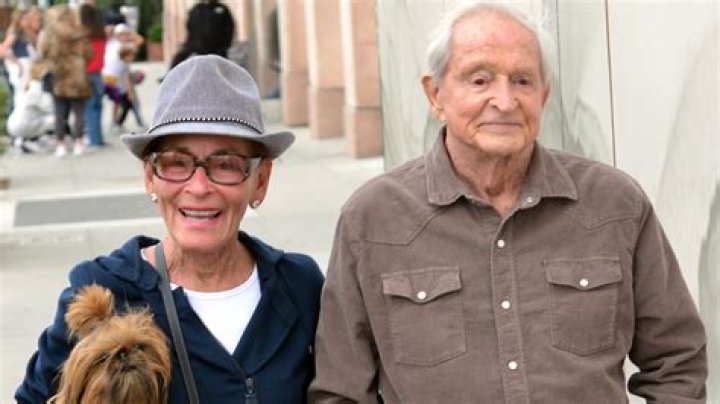 Exploring the Life and Career of Jerry Sheindlin