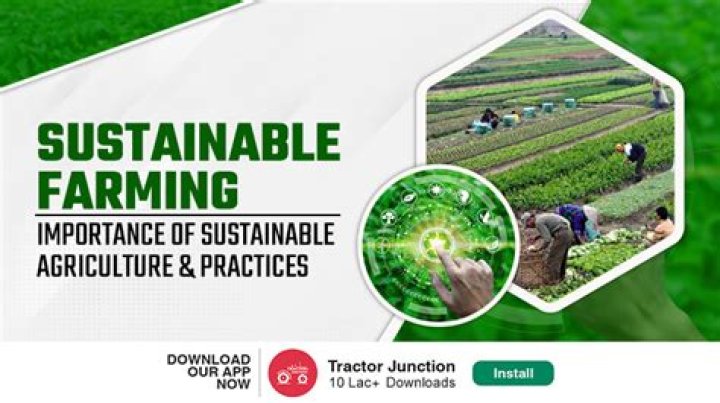 Greenhills Farmstead: Discovering the Charm of Sustainable Farming