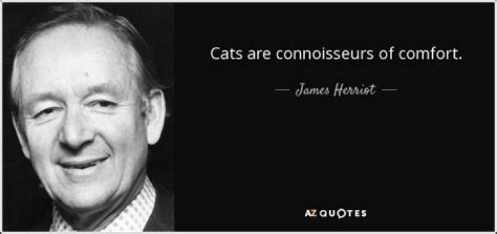 James Harriet Wrote "Cats Are the Connoisseurs of"