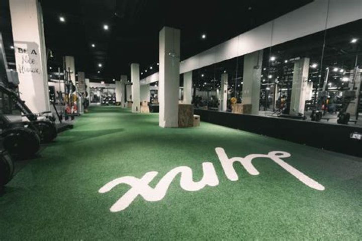 Lynx Fitness Club: Your Ultimate Fitness Destination