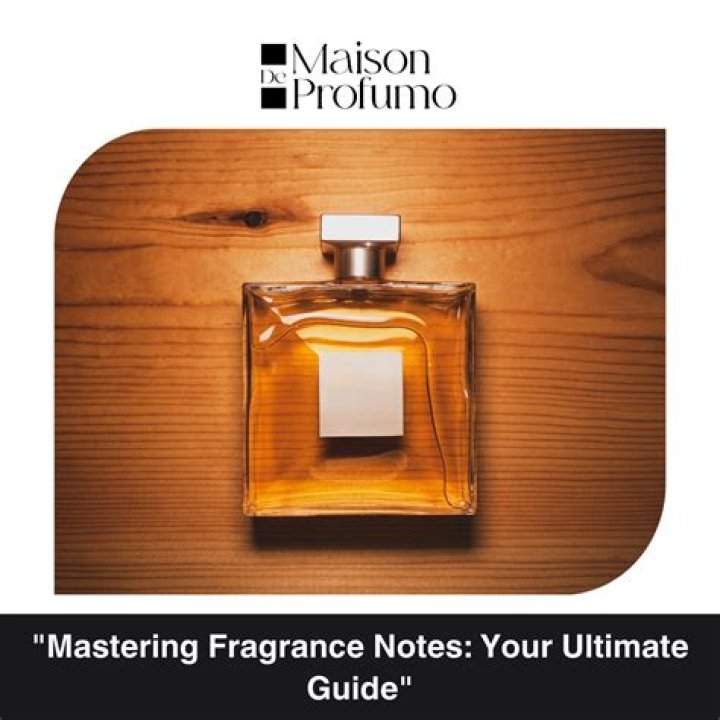 MFK Maven: The Ultimate Guide to Mastering Fragrance