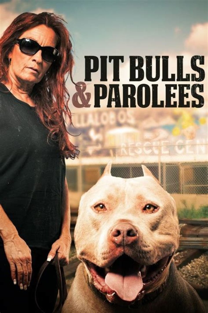 Pitbulls & Parolees Cast: An In-Depth Look at the Team Behind the Show